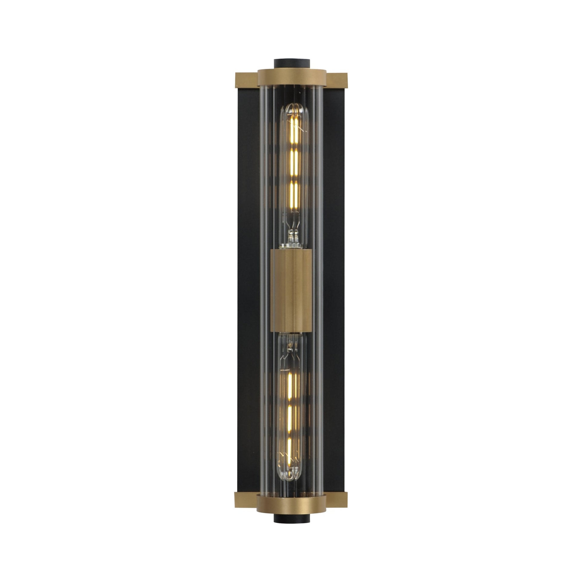 Opulent Black and Antique Brass 20" Outdoor Wall Sconce