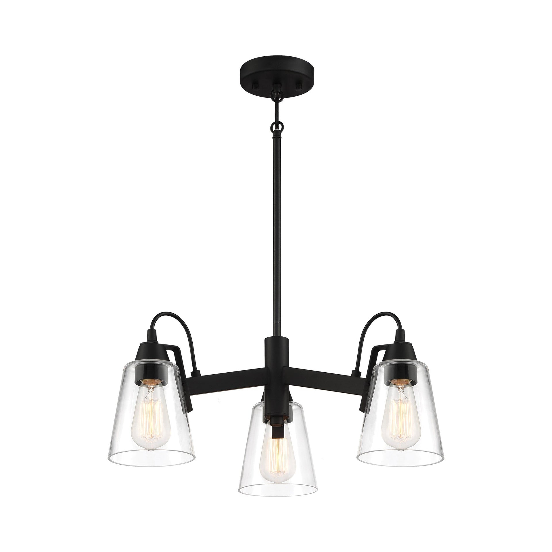 Minka Lavery Beckonridge Coal With Clear Chandelier