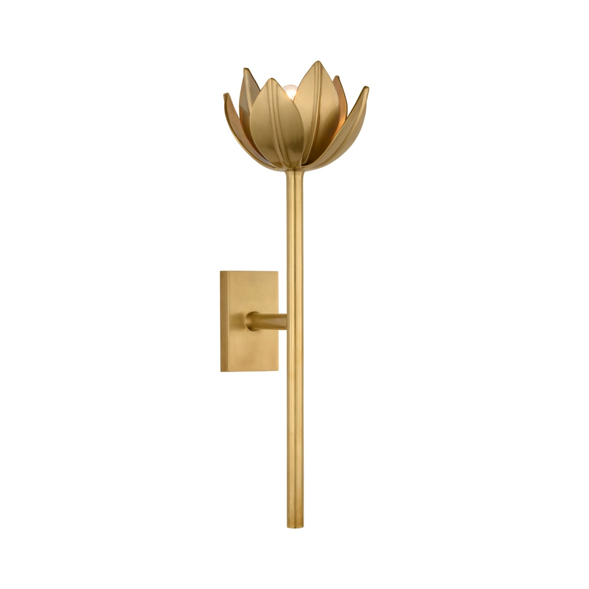 Alberto Antique Brass Floral Wall Sconce