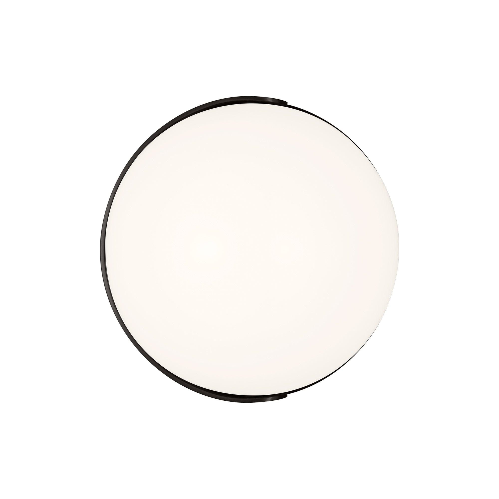 ED Ellen DeGeneres Syrie Dimmable LED Bath Sconce