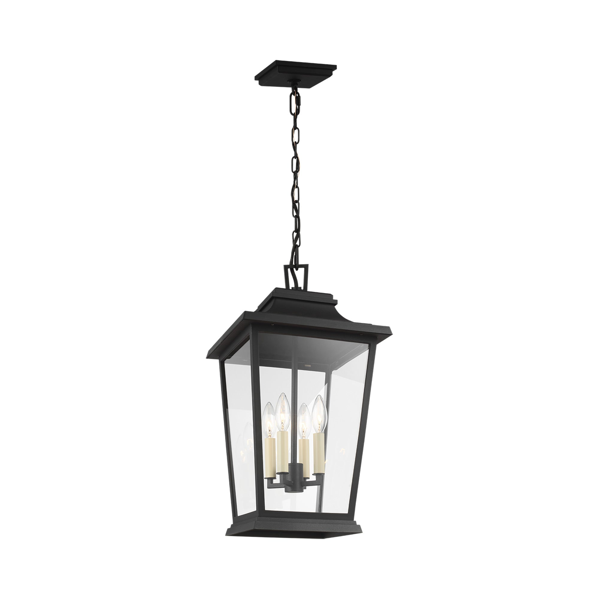 Warren Textured Black Clear Glass 4-Light Outdoor Pendant