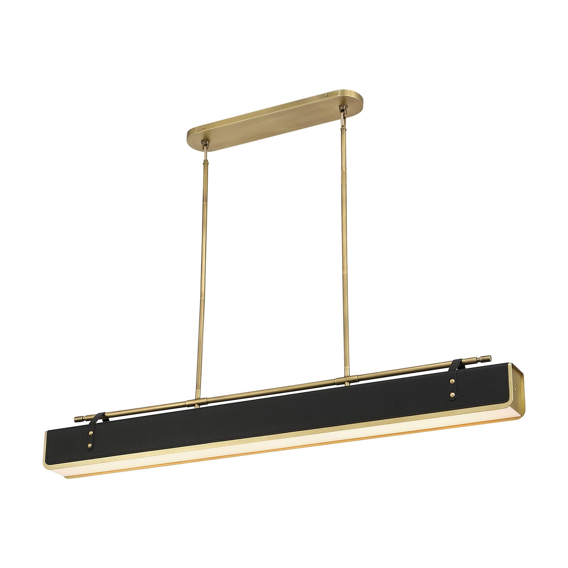 1 - Light LED Unique/Statement Pendant