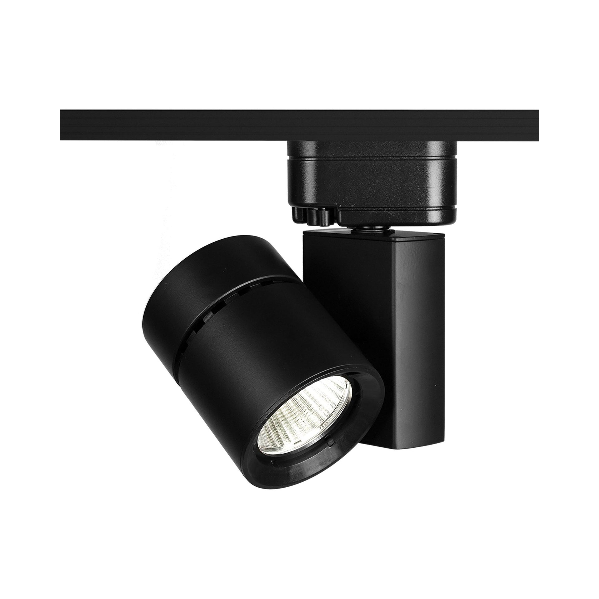 Compact Exterminator II 14W LED Track Head in Black
