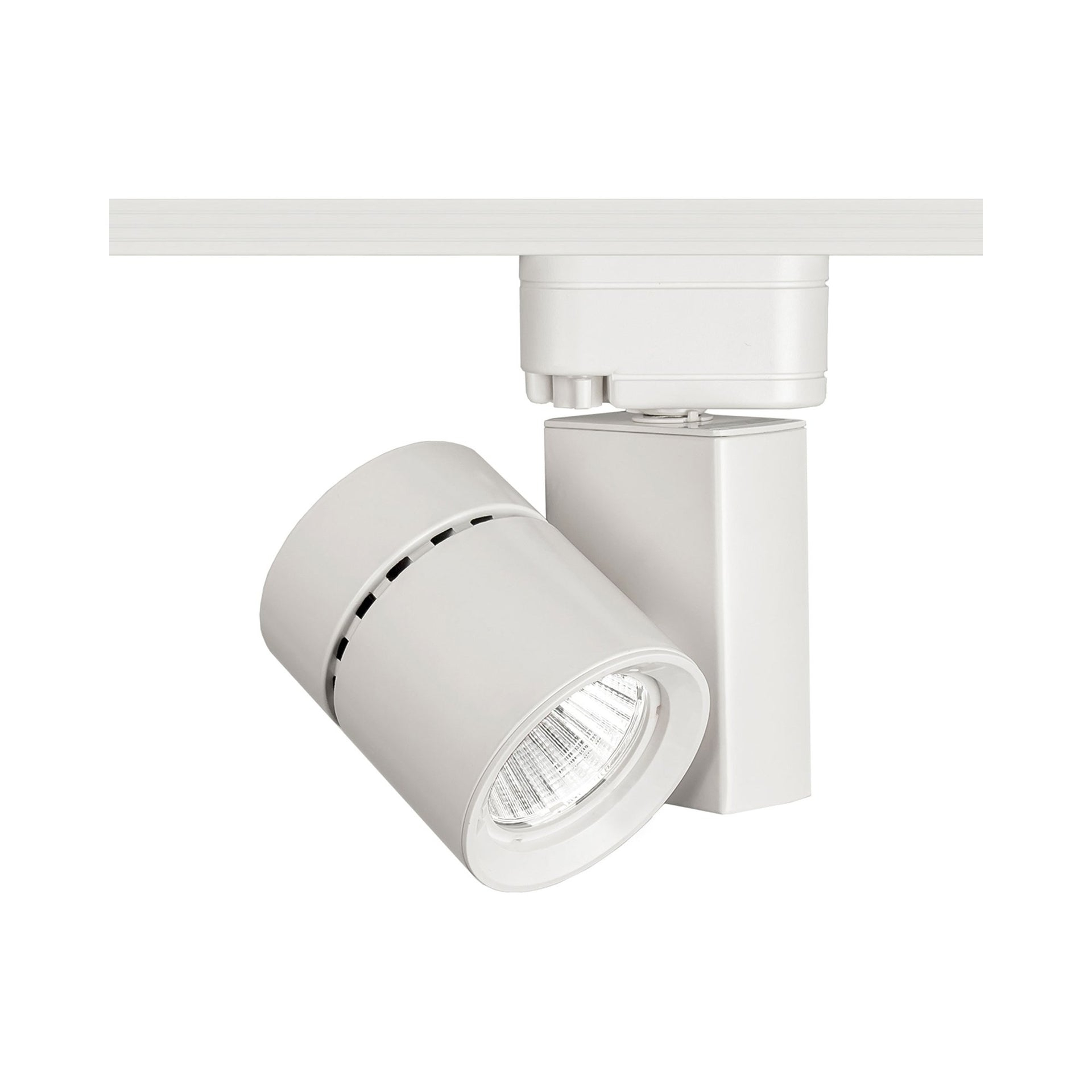 Exterminator II LED Adjustable Track Head