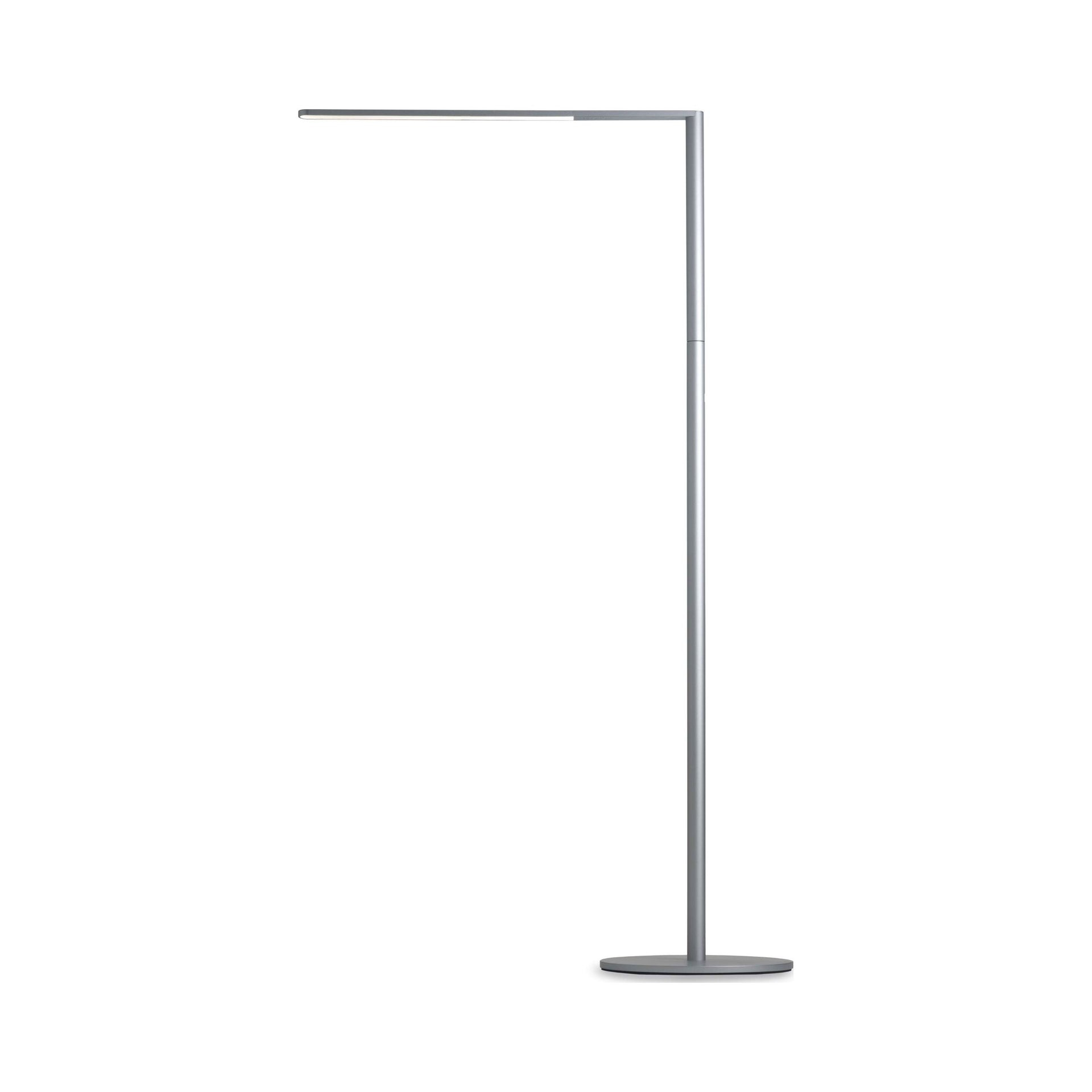 Lady7 52.05'' Dimmable LED Floor Lamp