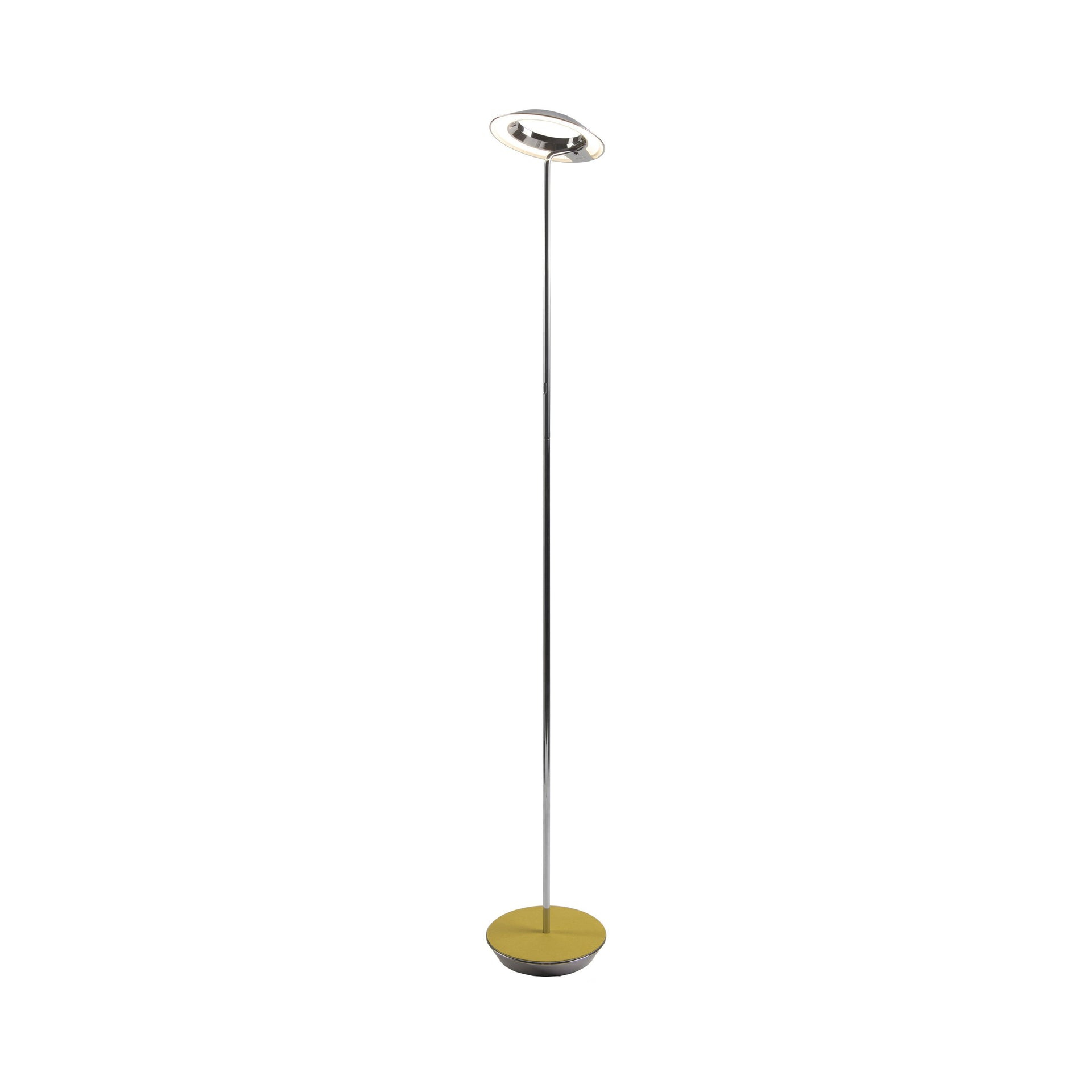 Royyo 45.5'' LED Floor Lamp