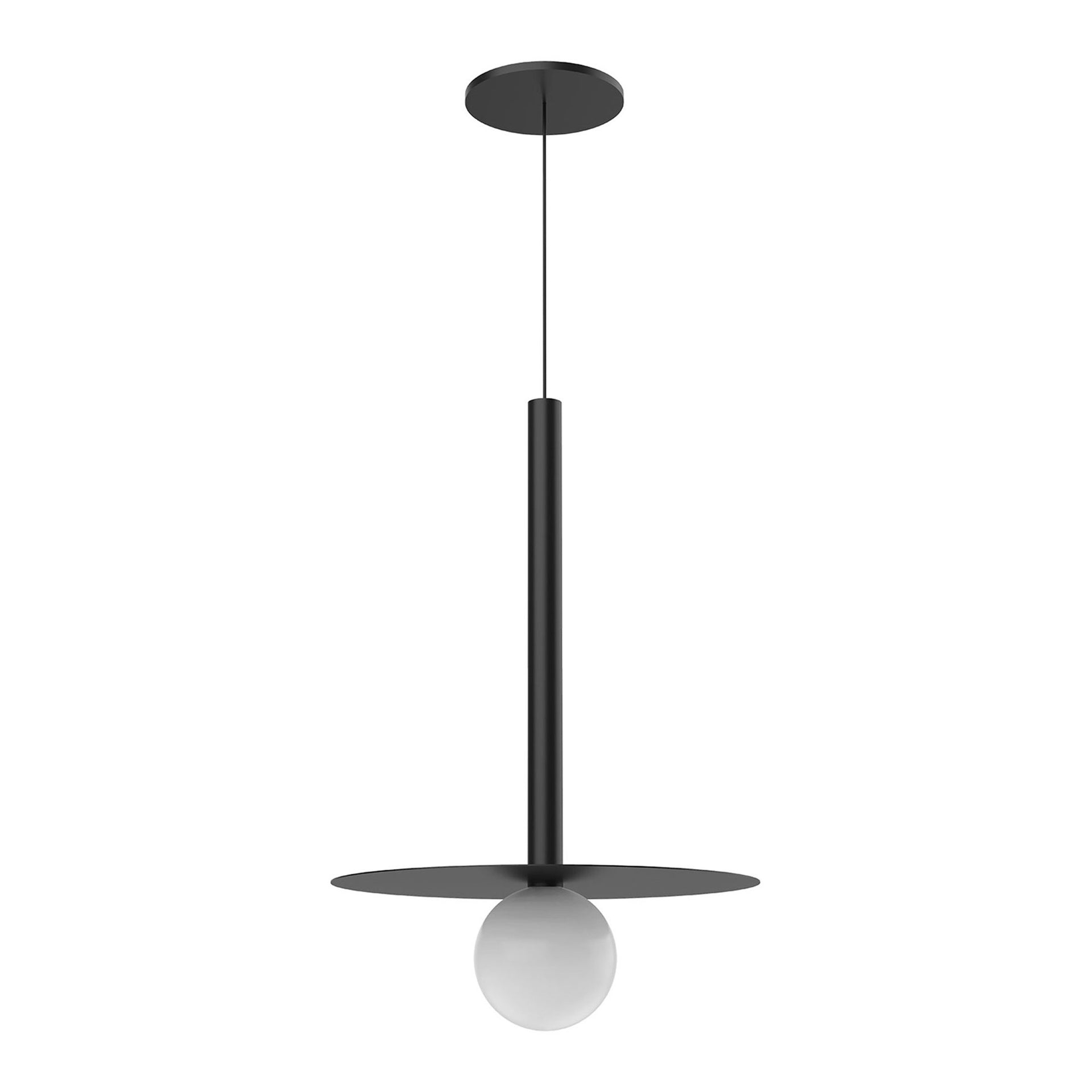 Black Glass LED Indoor/Outdoor Globe Pendant Light