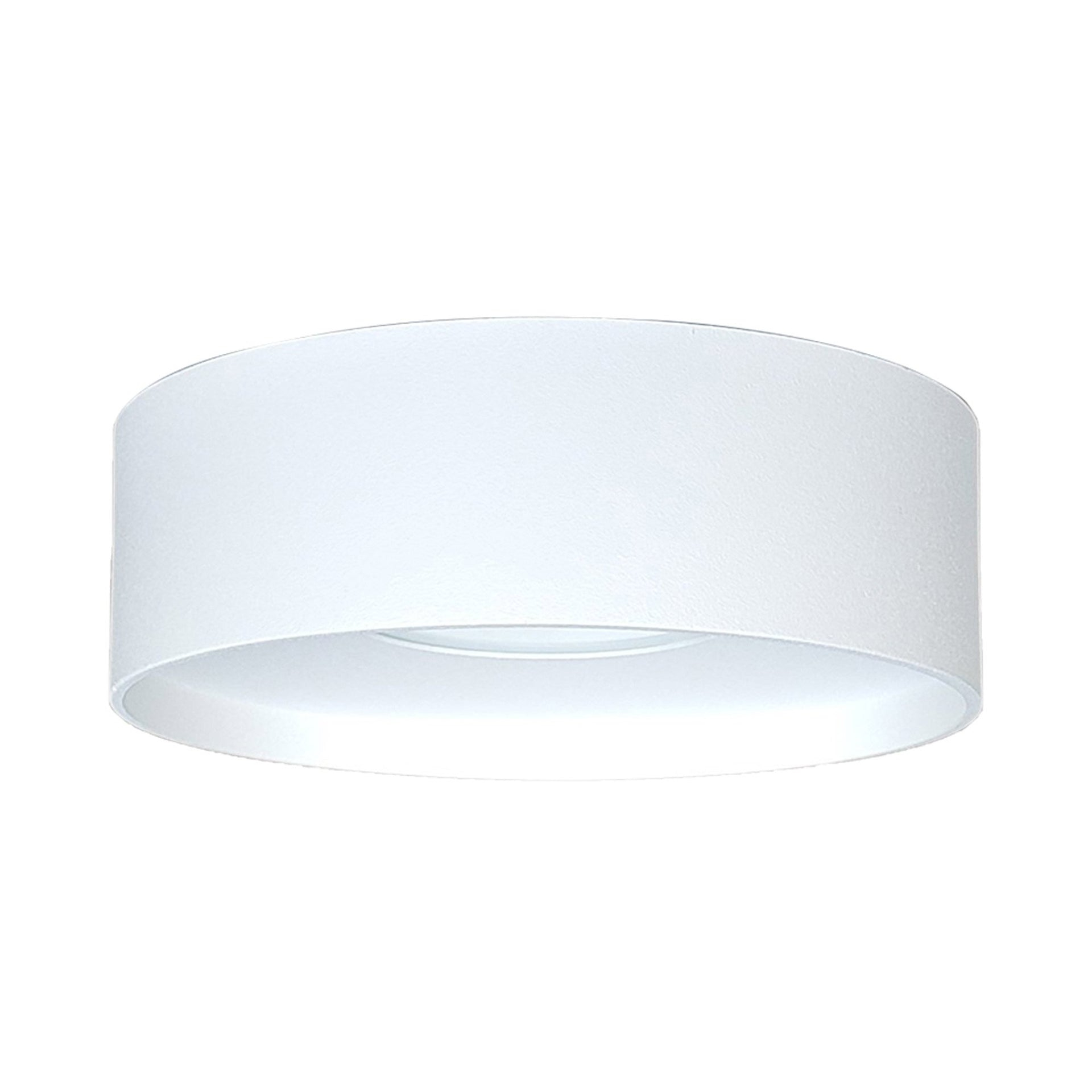 Trenton LED Outdoor Flush Mount