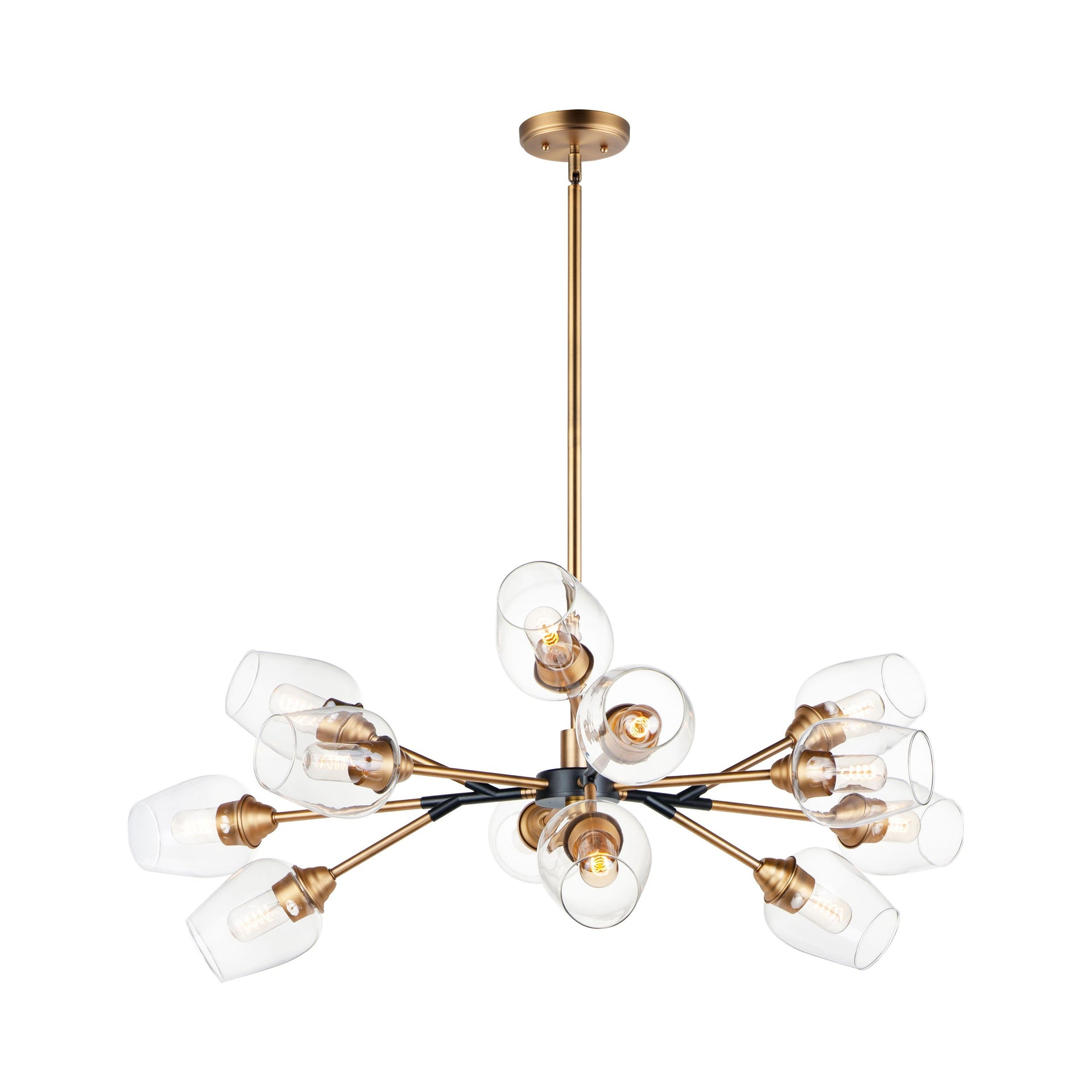 Maxim Lighting Savvy 12 - Light Chandelier in  Antique Brass/Black