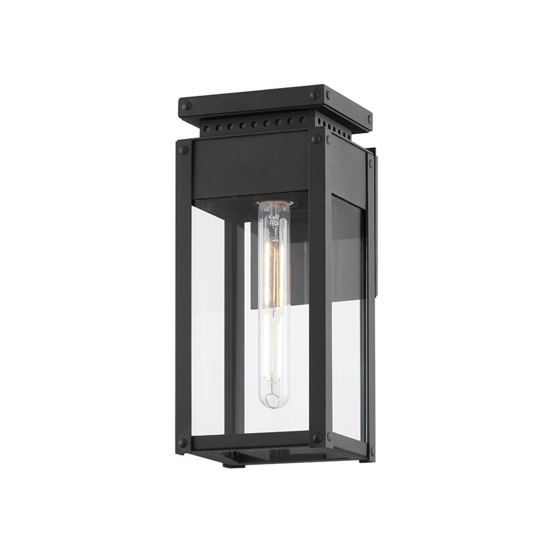 Troy Lighting Braydan 1 - Light Wall Light in  Textured Black Clear Shade