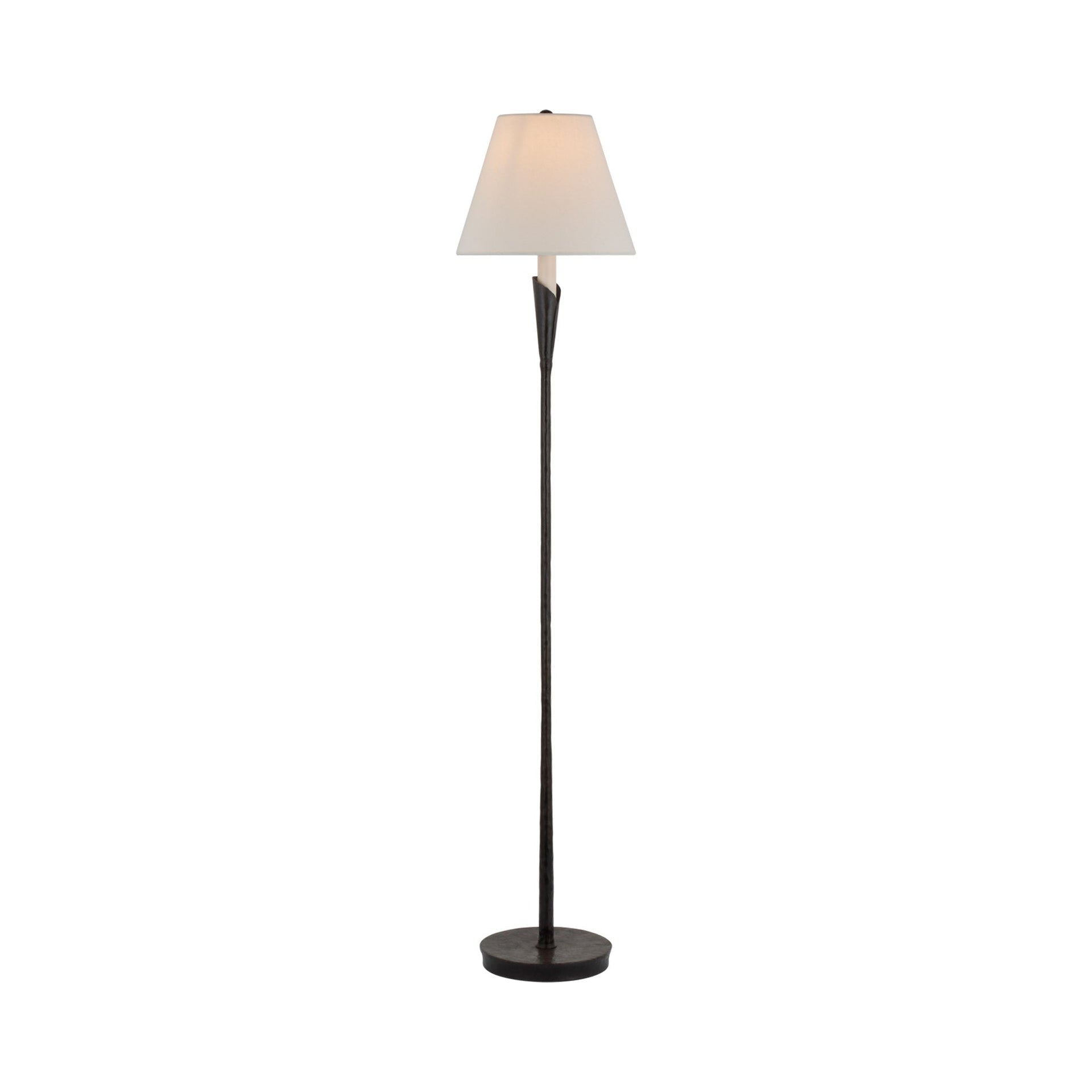 Edison Aged Iron Adjustable Outdoor Floor Lamp, 52 in
