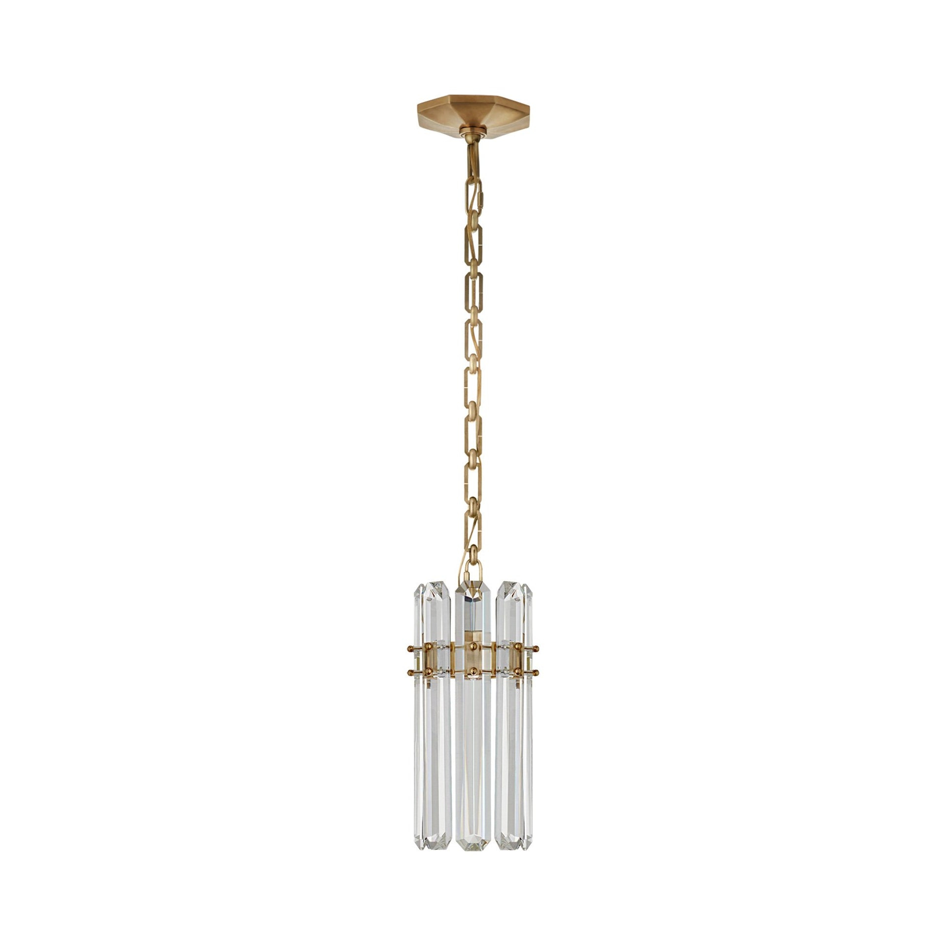 14.25" Crystal Antique Brass Indoor/Outdoor Pendant Light