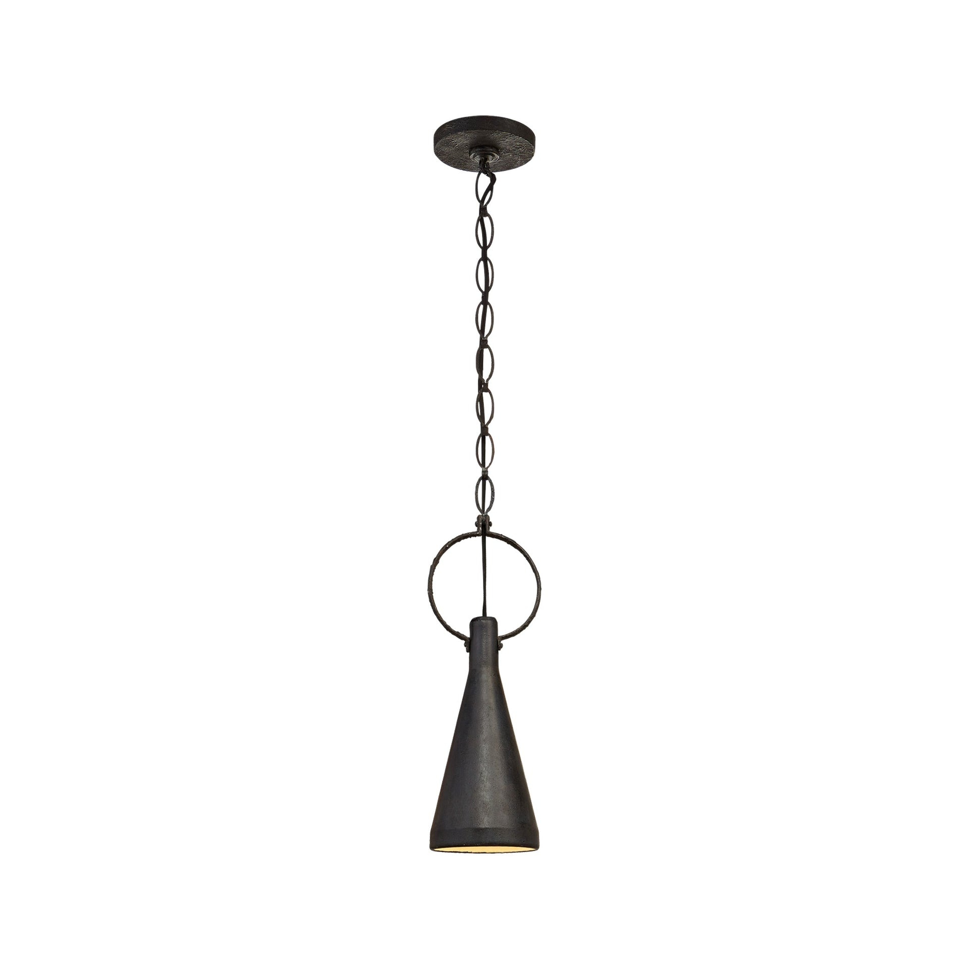 Limoges Aged Iron Crystal 19" Indoor/Outdoor Pendant Light