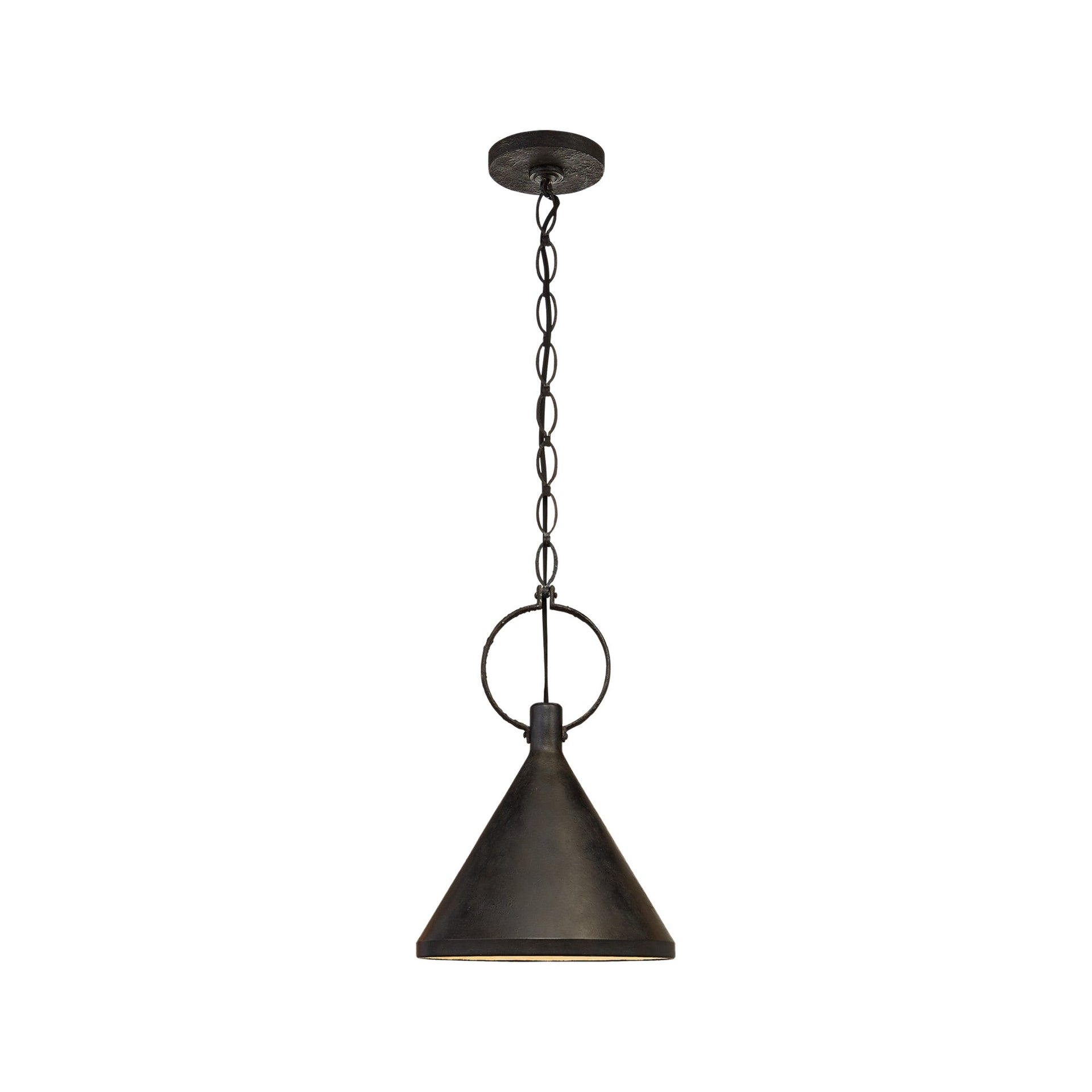Aged Iron 20.5" Glass Indoor/Outdoor Pendant Light