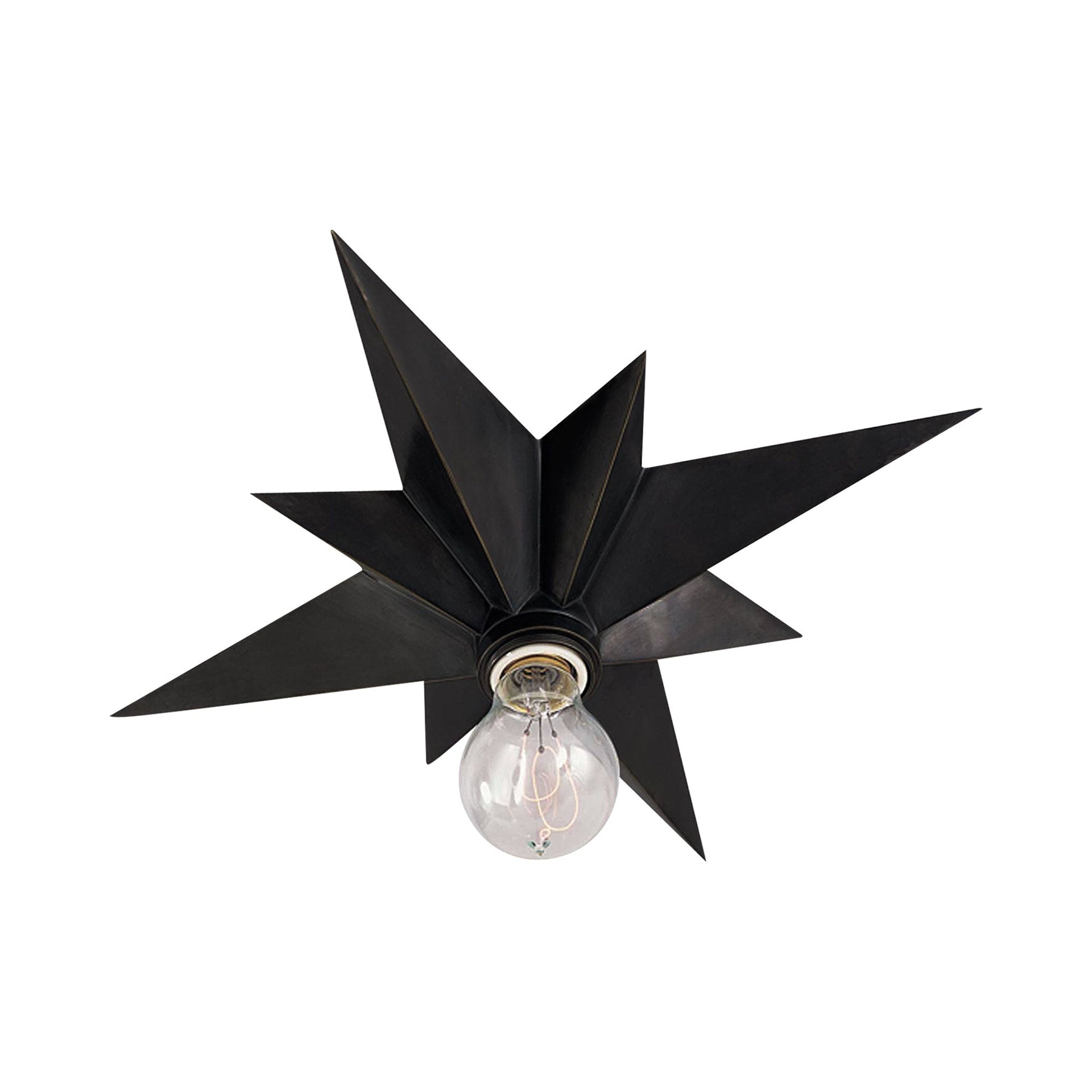 Bronze Crystal Starburst Indoor/Outdoor Flush Mount Light