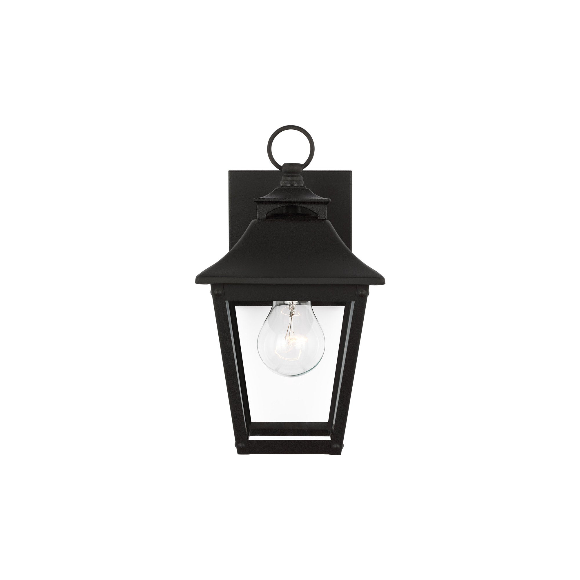 Galena Extra Large Black Outdoor Wall Lantern with Clear Seeded Glass