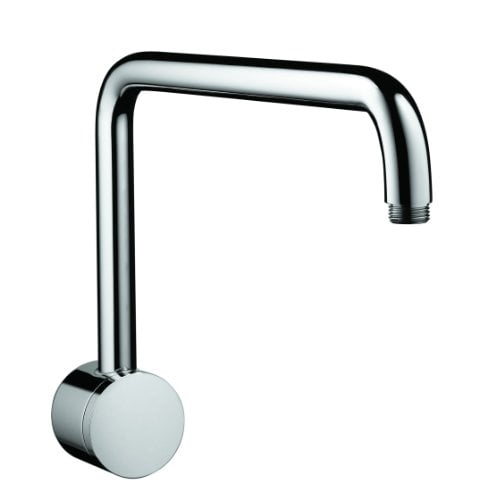 Raindance Shower Arm