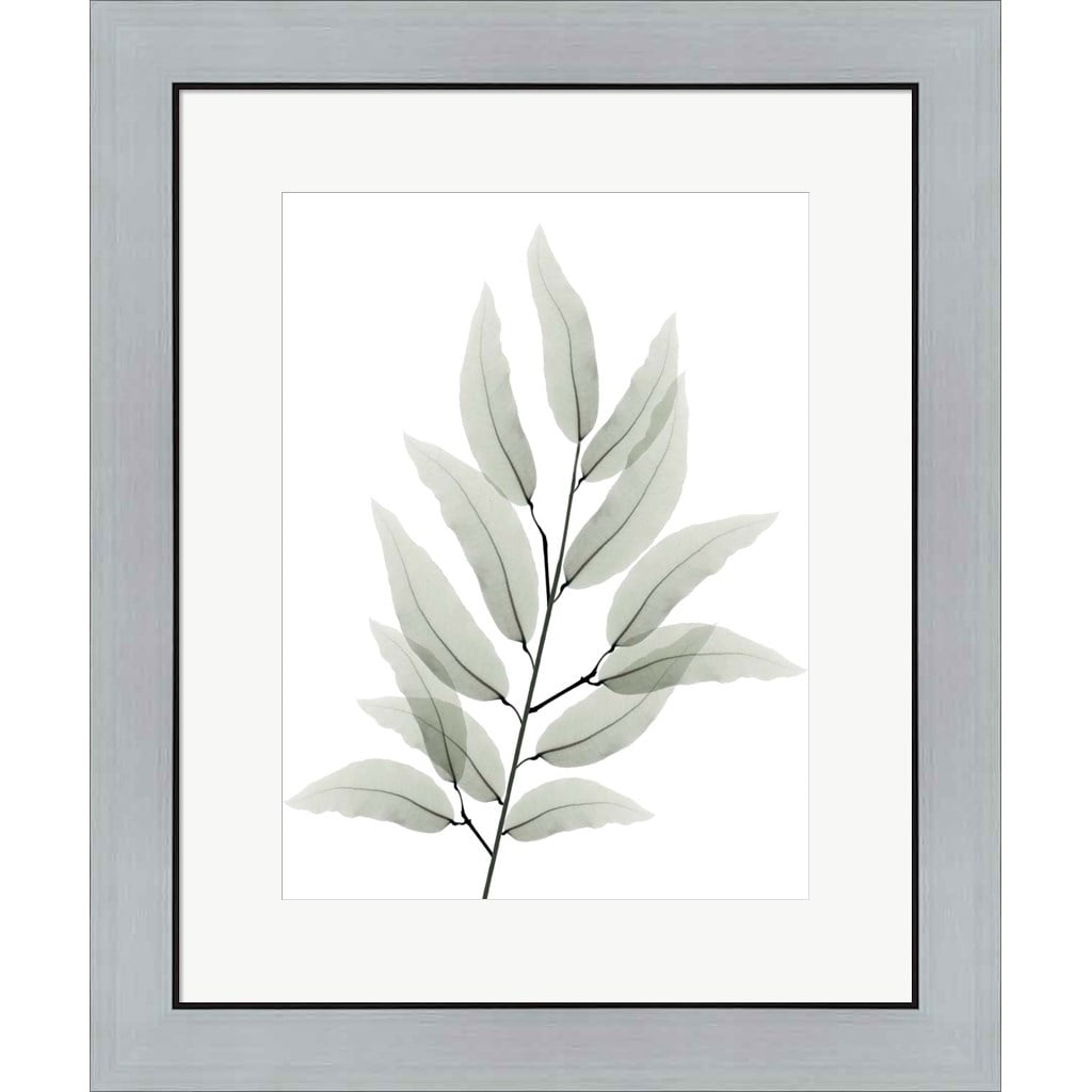 Great Art Now Franken Tree 1 de Albert Koetsier, Arte de Pared Enmarcado, 20.25W x 24.25H