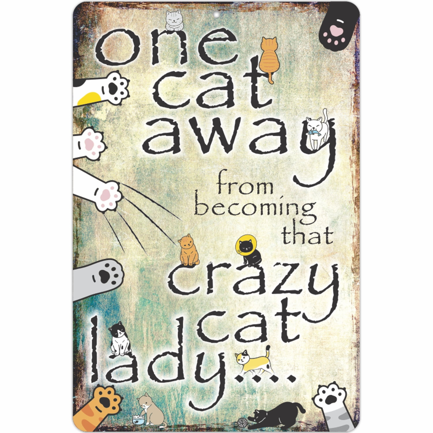 Funny Cat Lady Sign