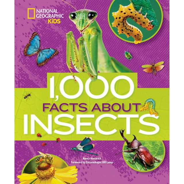 1,000 Facts about Insects - by  Nancy Honovich (Hardcover)