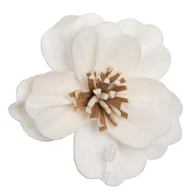Vickerman Natural Botanicals 1.6"/2.4"/3.2" Assorted Natural Dried Anemone Sola Flower Head 24/bag.