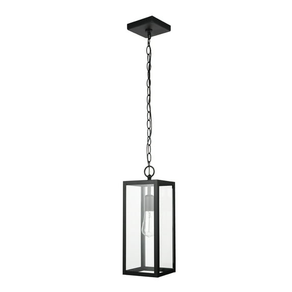 1-Light Matte Black Outdoor Pendant Lighting with Clear Glass Shade