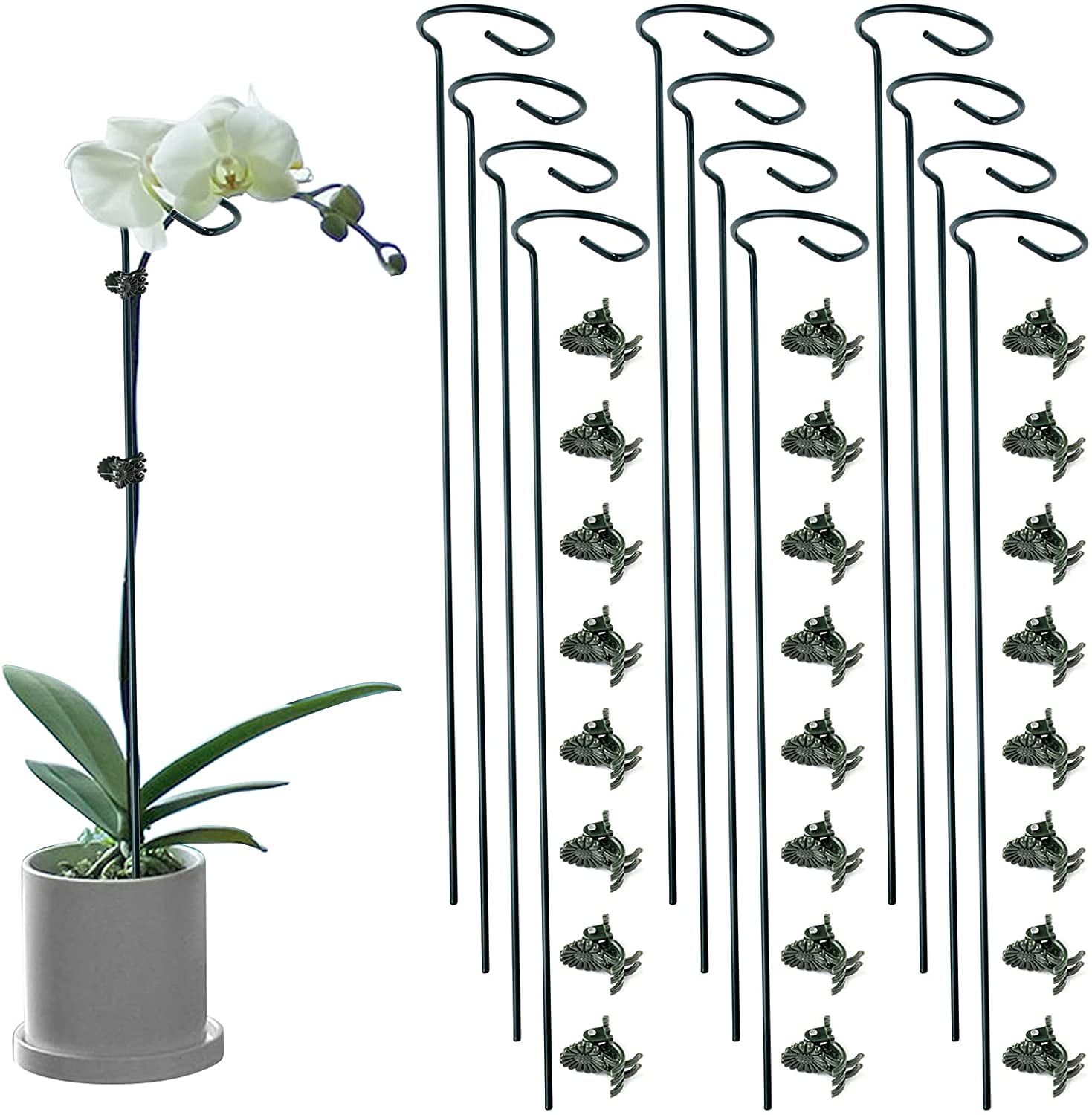 12 Pack Plant Stakes, 24 inch Plant Support Stakes, with 24 Pcs Plant Clips, Green, for Garden