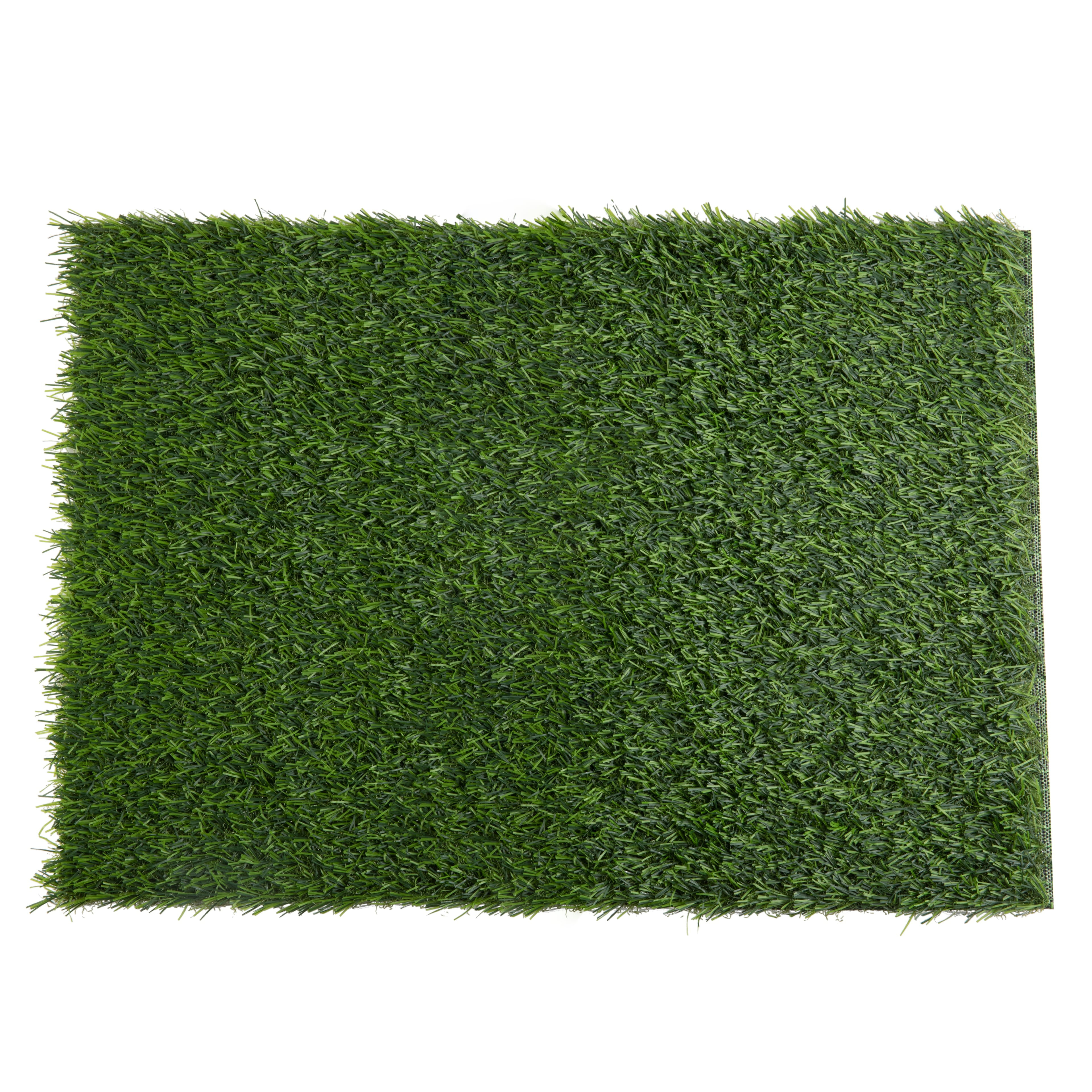 14" x 20" Green Grass Placemat by Celebrate It™