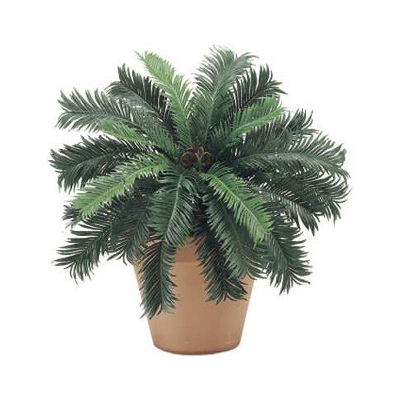 22 in. Cycas Palm Bush X25- 6 Each
