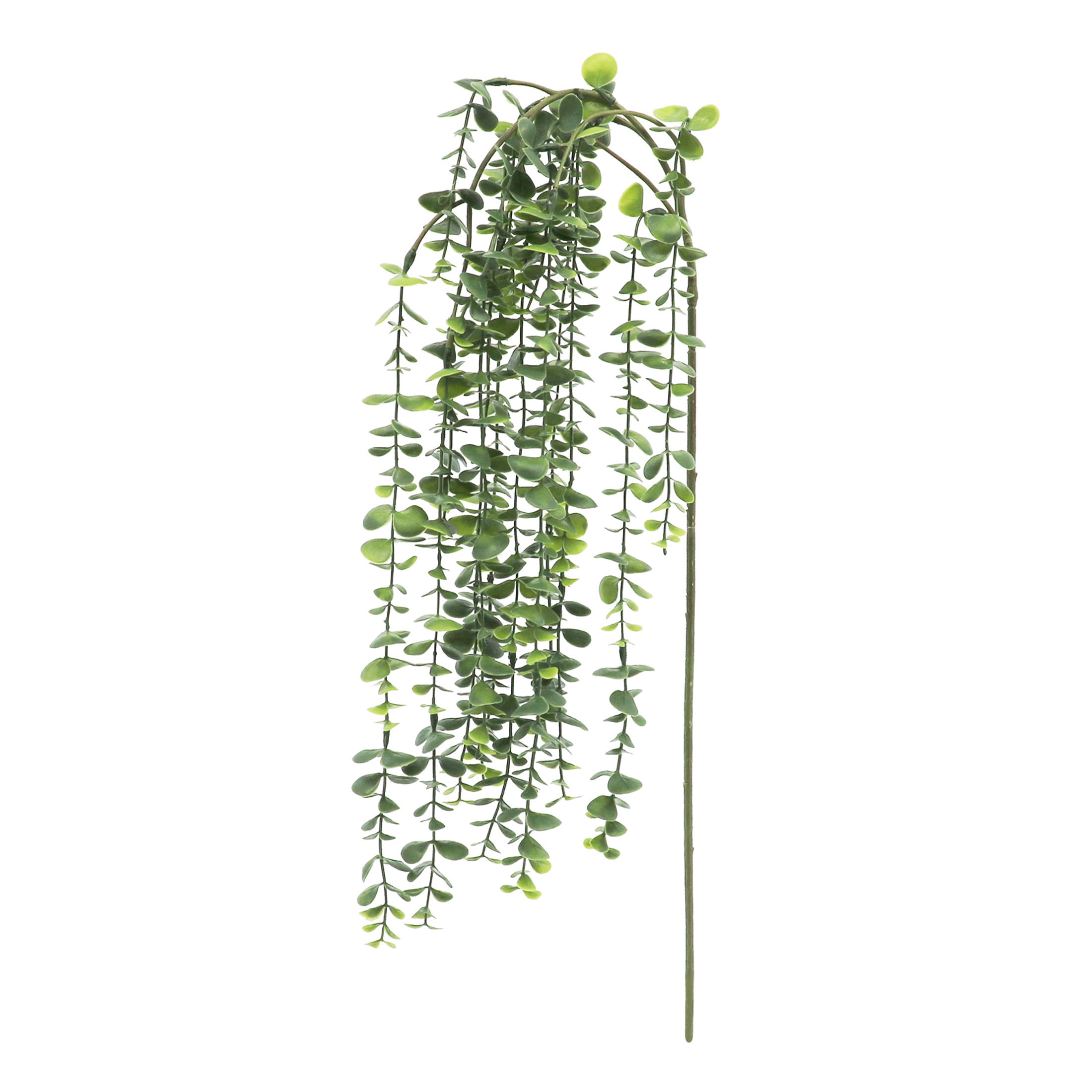 25" Green Hanging Eucalyptus Stem by Ashland® - Spring Floral and Greenery