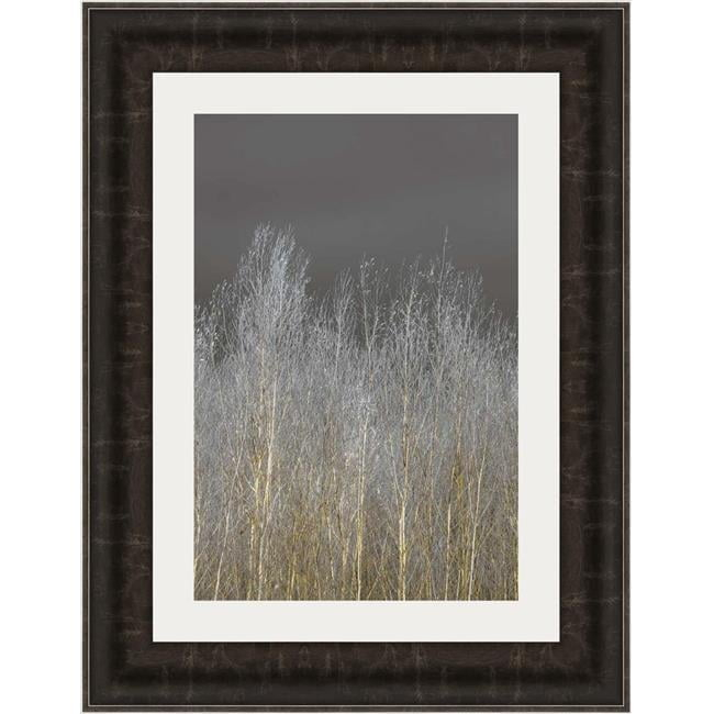 25 x 19 in. Silver Forest I Framed Fine Art Print