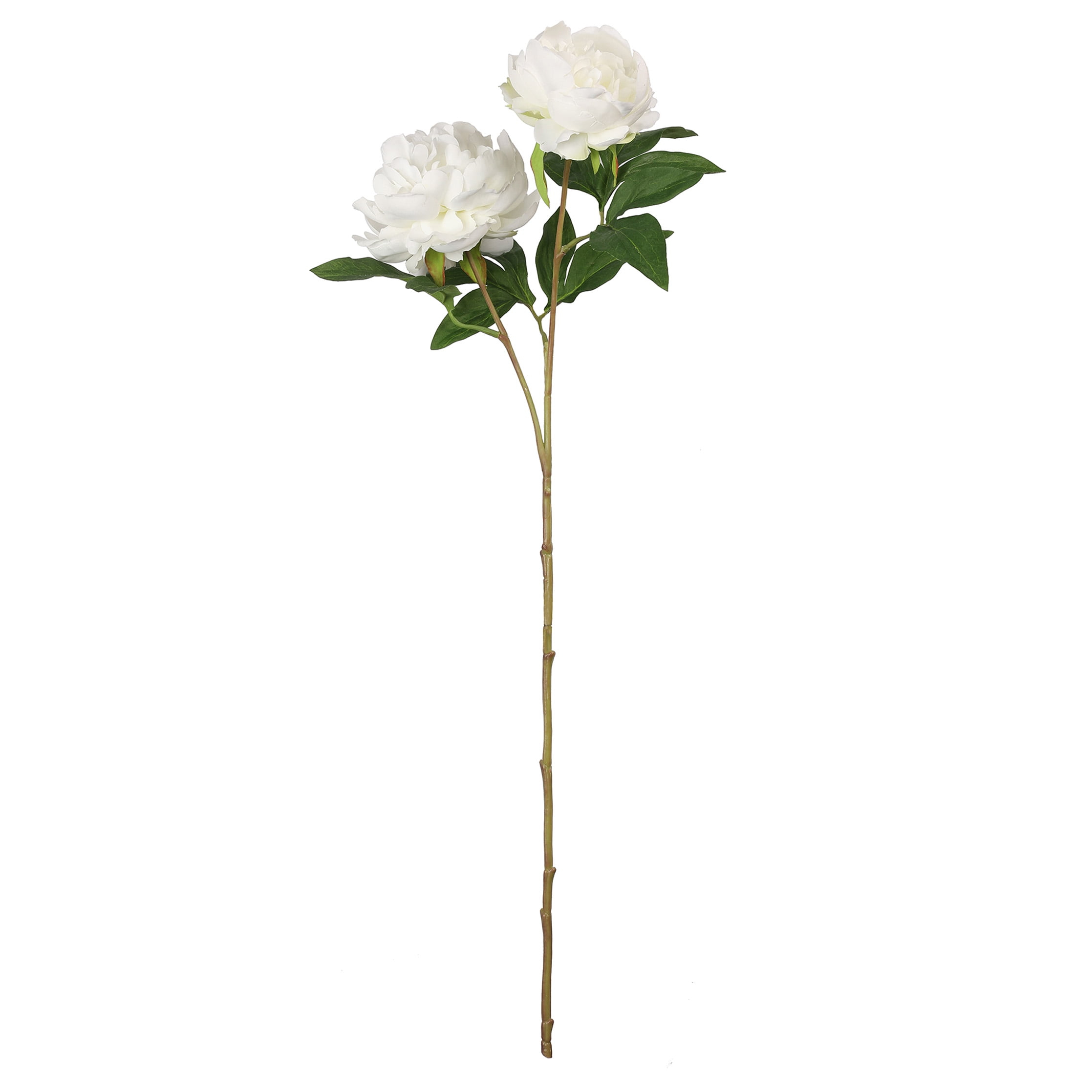28" Peony Stem by Ashland® - Spring Floral and Greenery