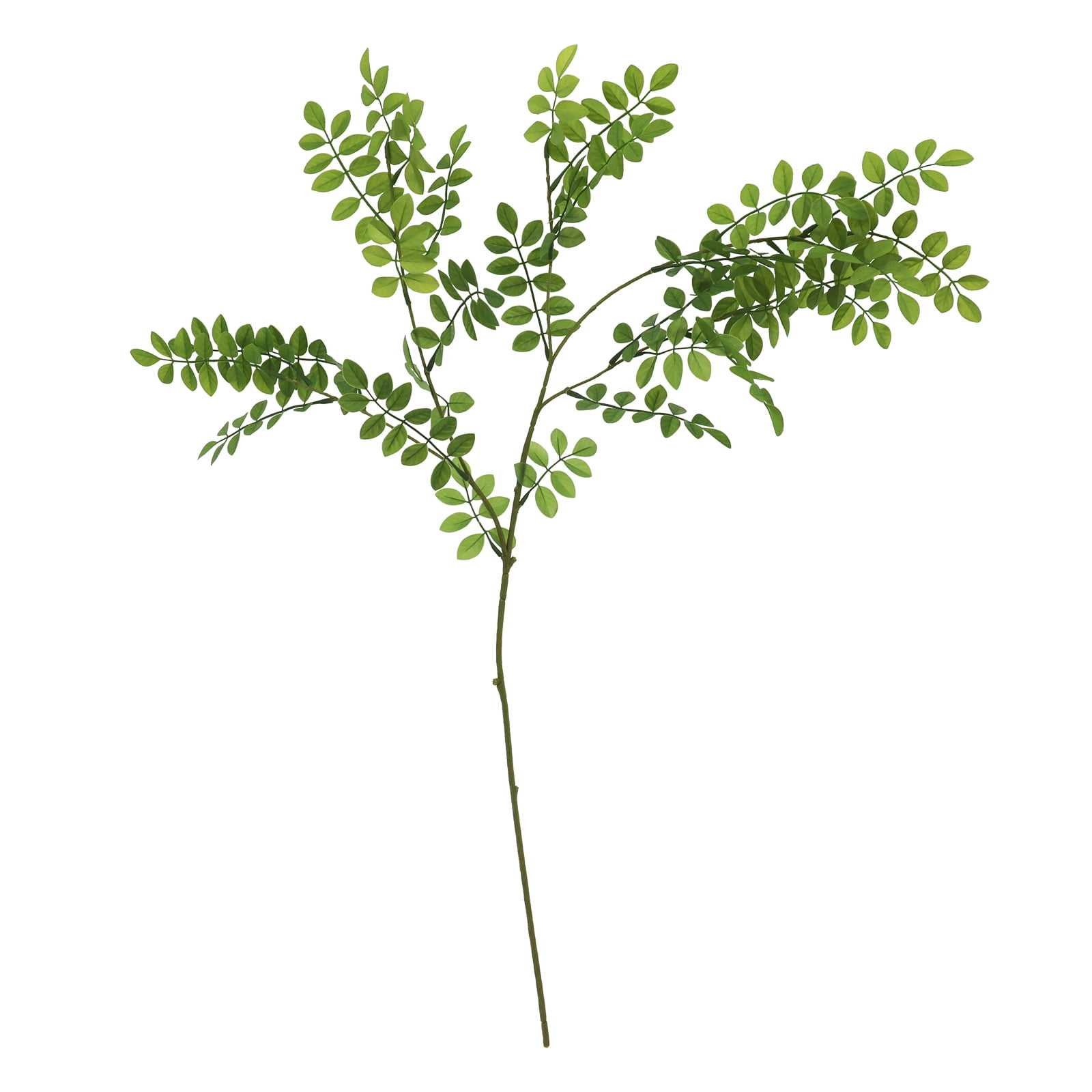 29" Green Hanging Acacia Leaves Stem by Ashland® - Spring Floral and Greenery