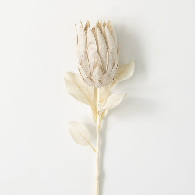 29"H Sullivans Natural Pale Cream Protea, Cream