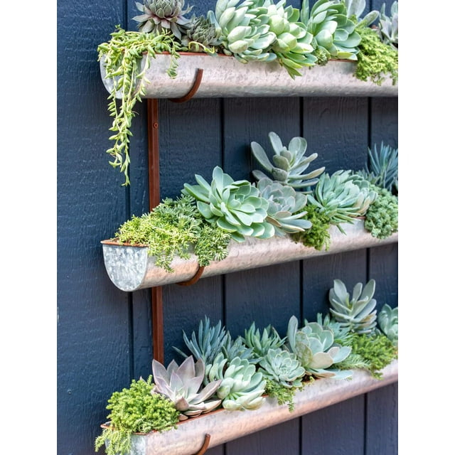 Gardener's Supply Company 3-Tier Galvanized Vertical Wall Planters | Indoor Outdoor Sturdy Metal Wall Mounted Flower & Herbs Hanging Planter Display (3-Pack with Bracket)
