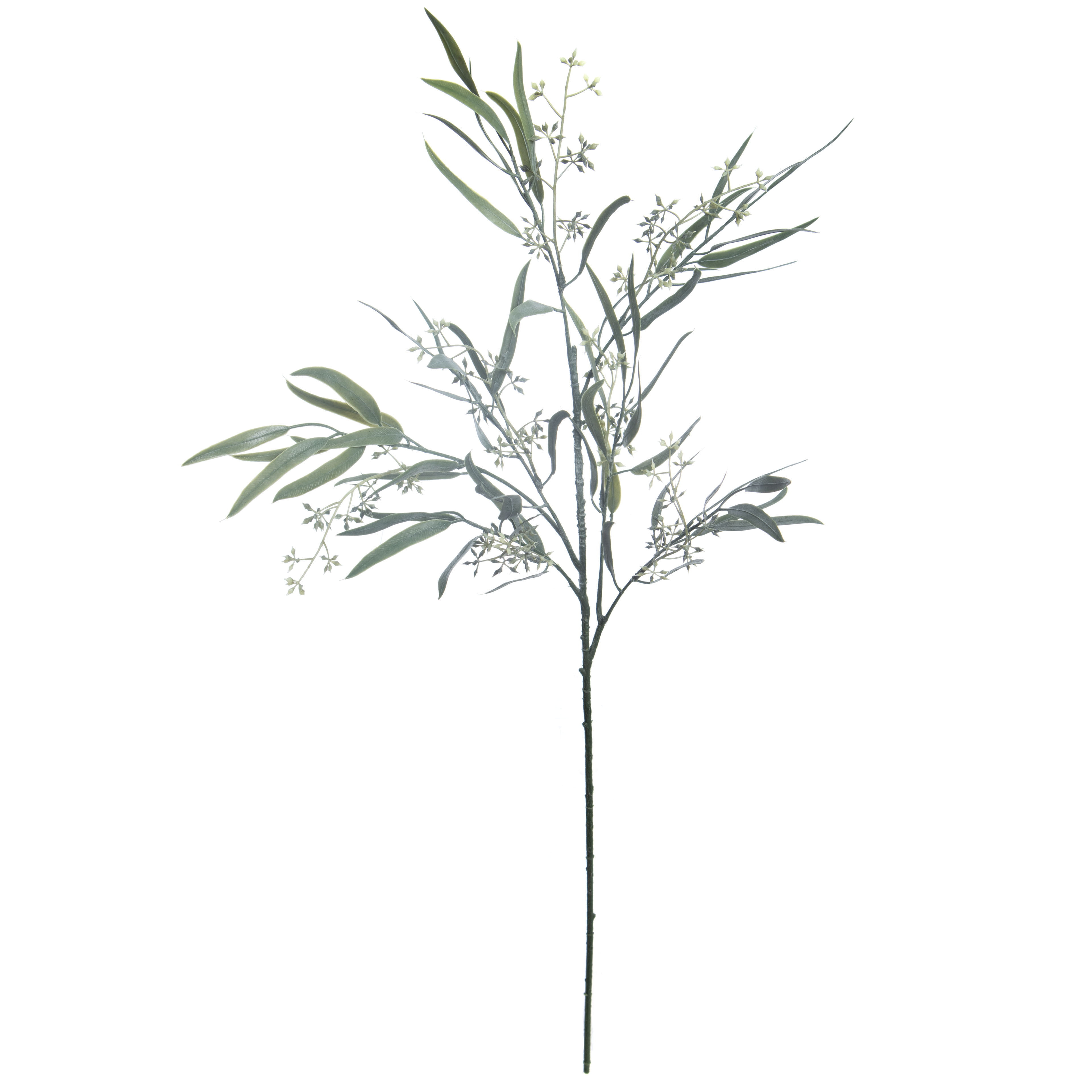 32" Green Seeded Willow Eucalyptus Stem by Ashland® - Spring Floral and Greenery
