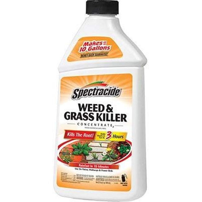 Spectracide Weed and Grass Killer Concentrate 32 oz