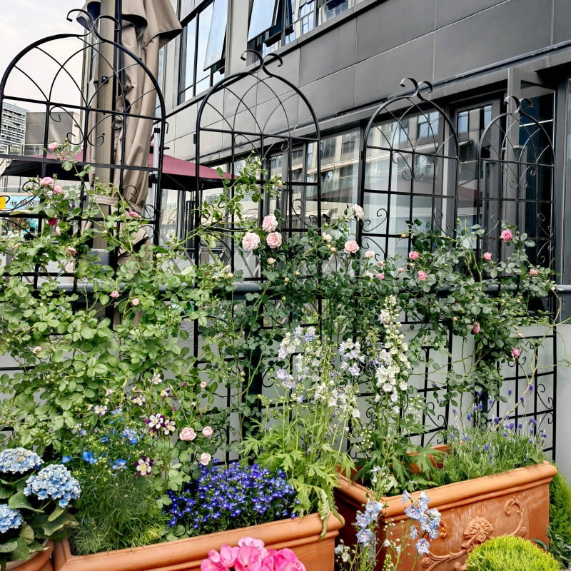 4 Pack Metal Garden Trellis 71" x 19.7" Rustproof Trellis for Climbing Plants Outdoor Flower Support Black