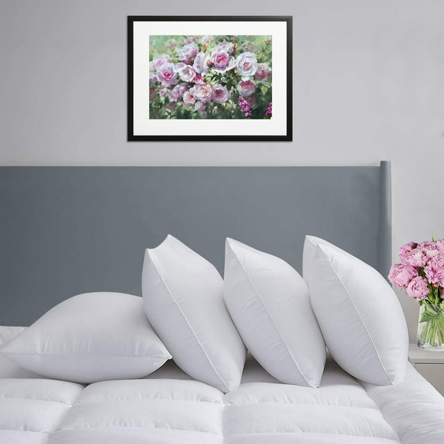 4-Pack Hypoallergenic Down-Alternative, Bed Pillow (Standard)