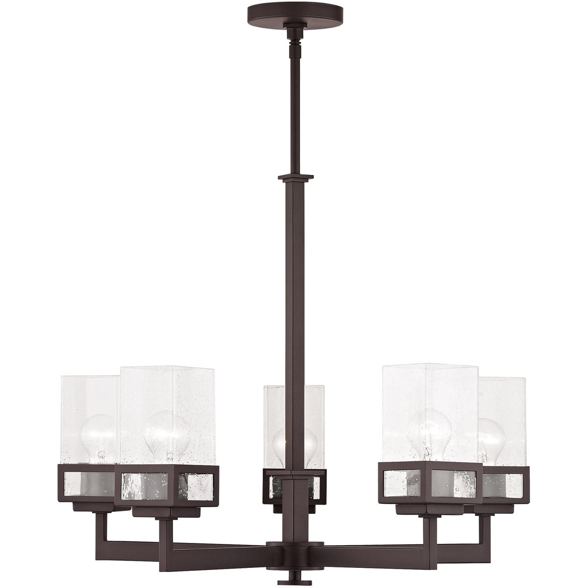5 Light Bronze Chandelier with Hand Blown Clear Seeded Glass Shade