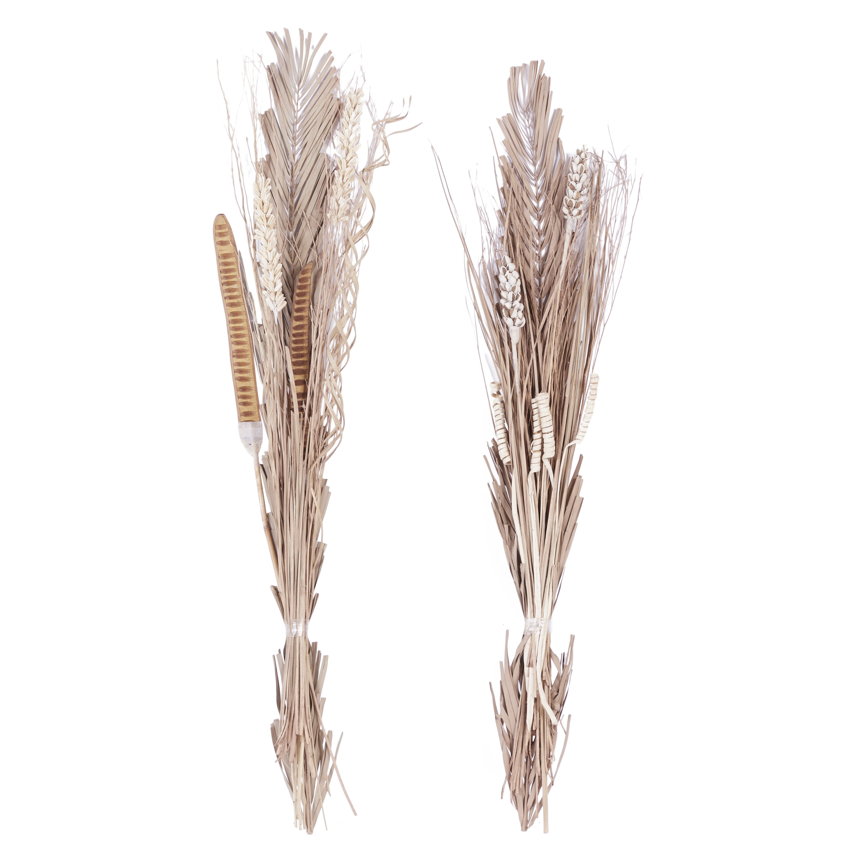 57" Dried Plant Natural Foliage Pigeon pea Bouquet, by DecMode (2 Count)