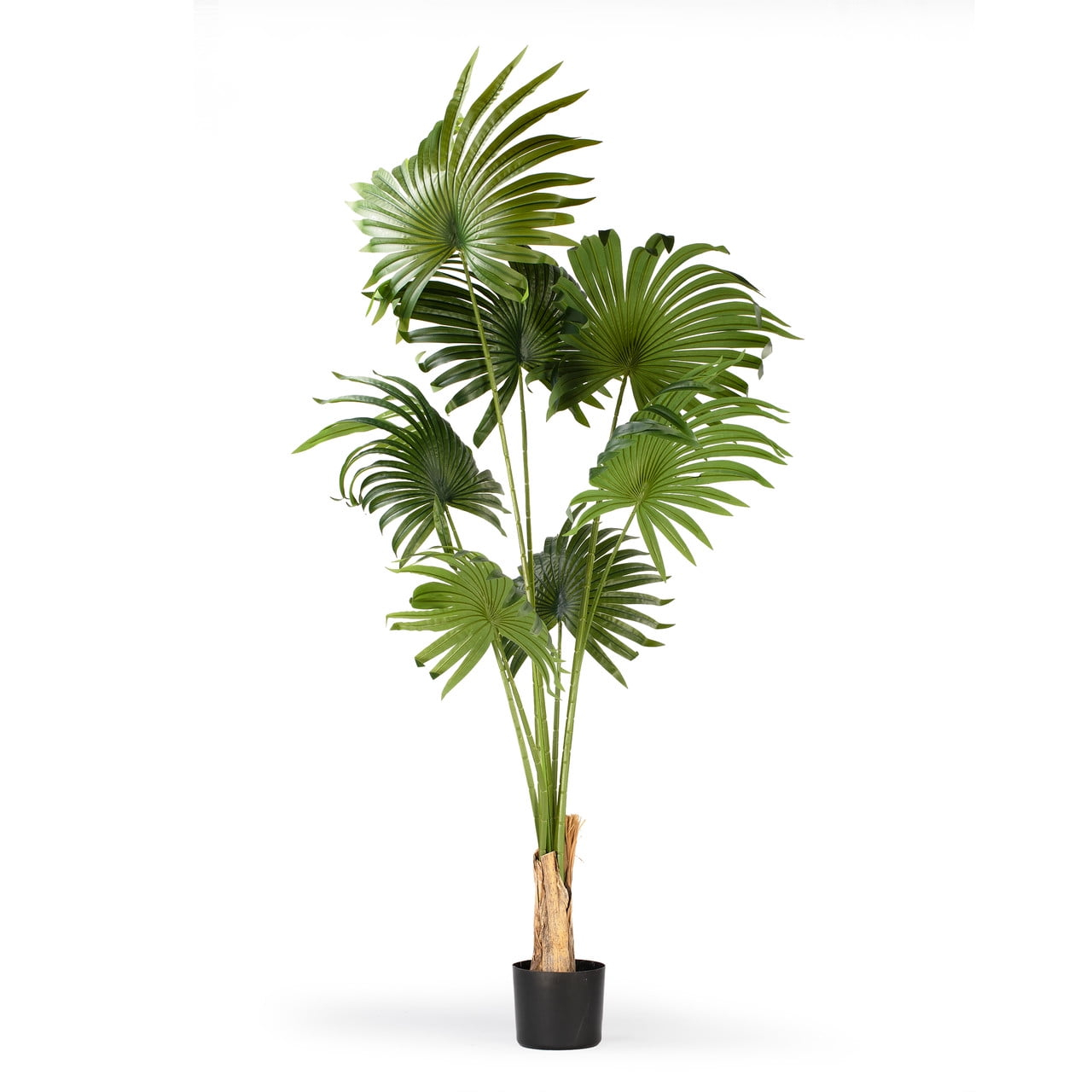 63 inches Artificial California Palm Tree in Plastic Nursery Pot