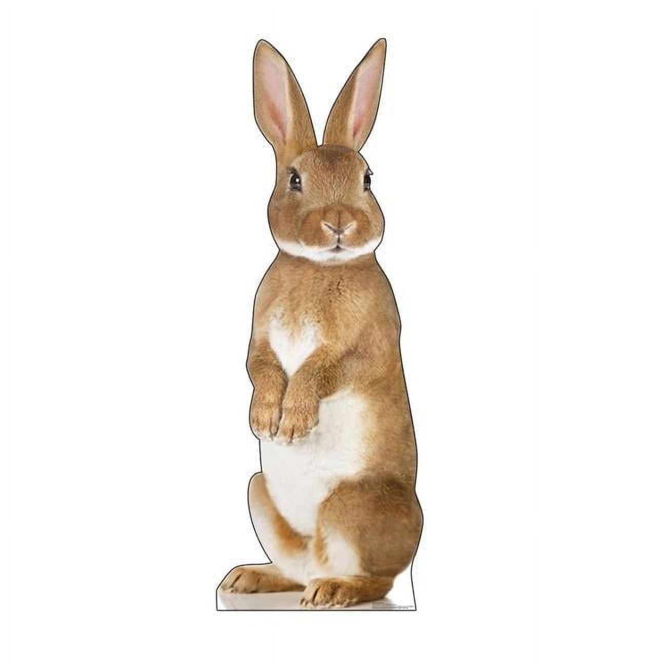 72'' Animals Cardboard Standup