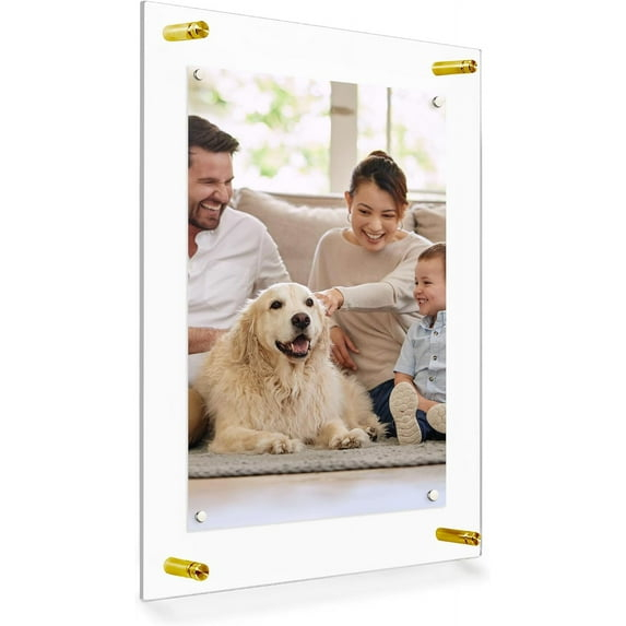 Acrylic Floating Frame 21z27, for Photo up to 18x24 inches - Gold Wall mount standoffs with Magnets