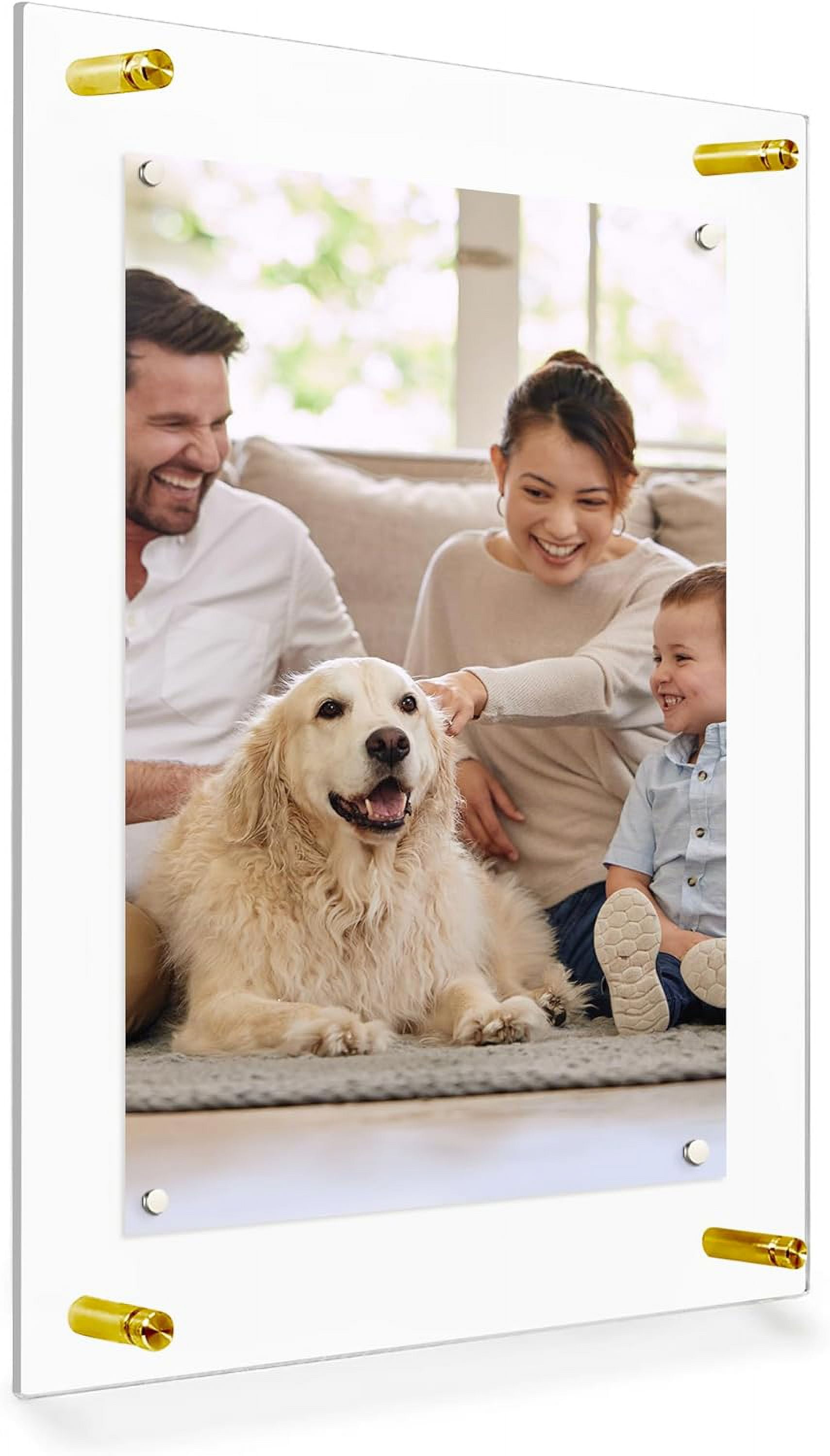 Acrylic Floating Frame 27x39, for Photo up to 24x36 inches - Gold Wall mount standoffs with Magnets