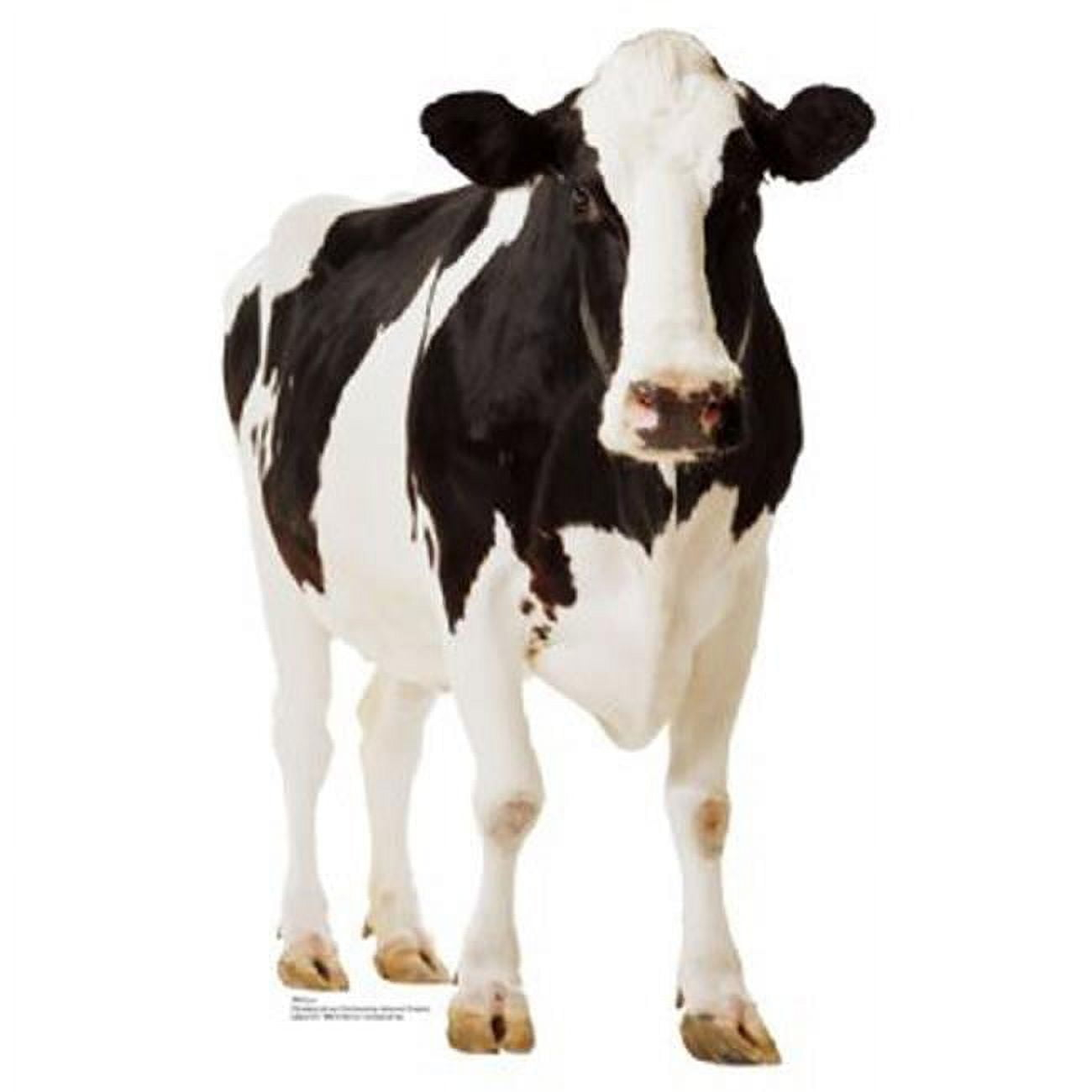 Advanced Graphics Cow Life-Size Cardboard Stand-Up