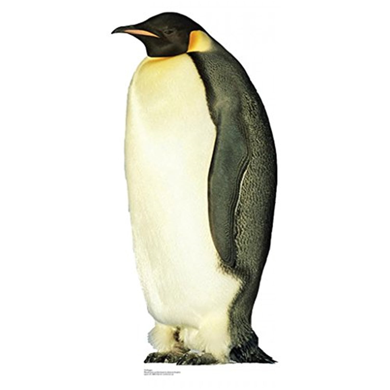 Advanced Graphics Penguin Life-Size Cardboard Stand-Up