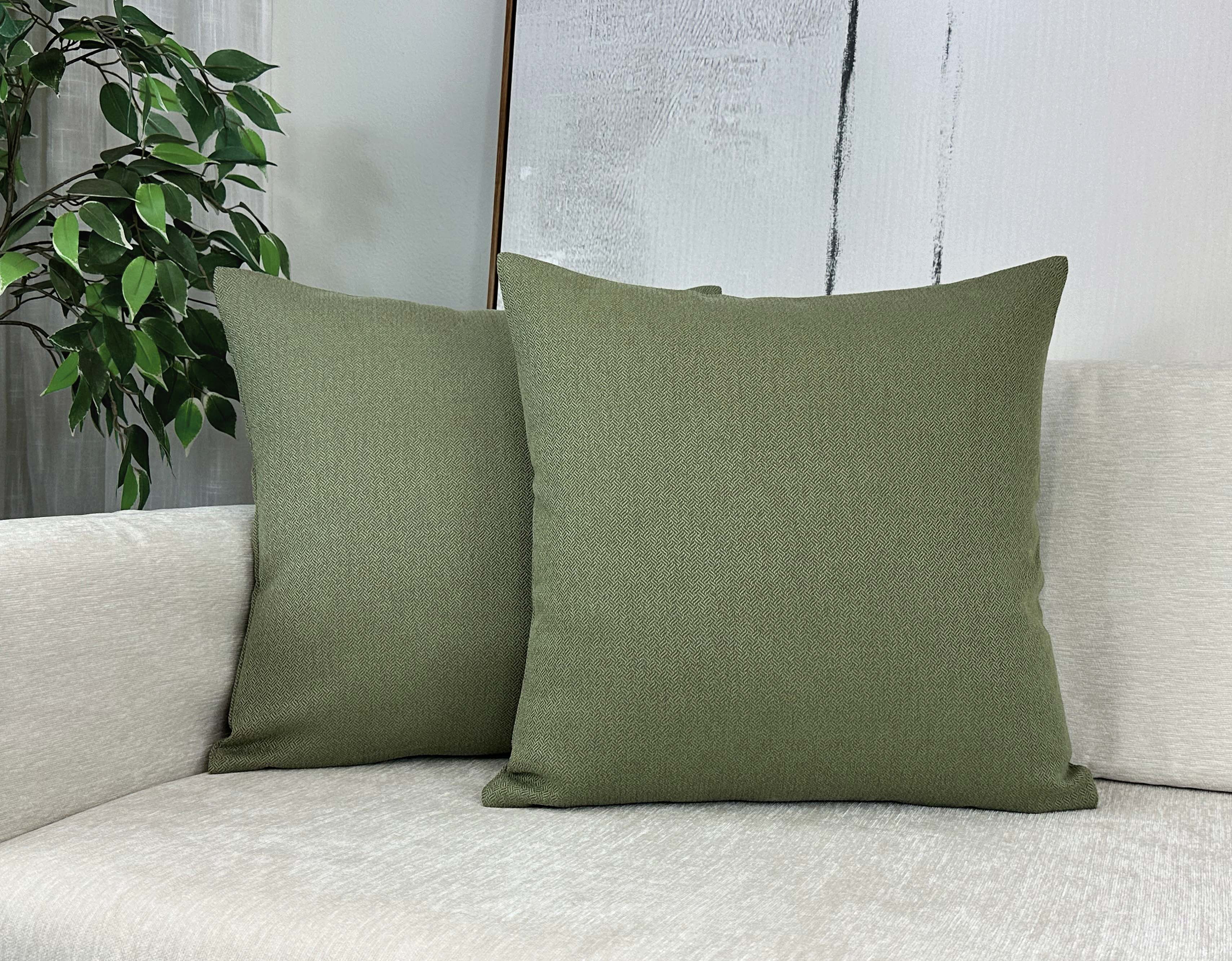 Aiking 2 Pieces of 18" x 18" Brushed 100% Polyester Decorative Throw Pillow Covers, Zipper Closure, Basil