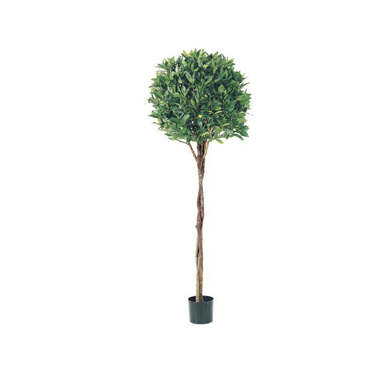 Allstate Pack of 2 Potted Artificial Bay Leaf Ball Topiaries 5'