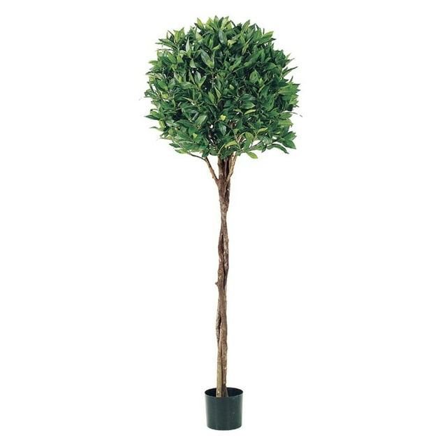 Allstate Pack of 2 Potted Artificial Bay Leaf Ball Topiaries 5'